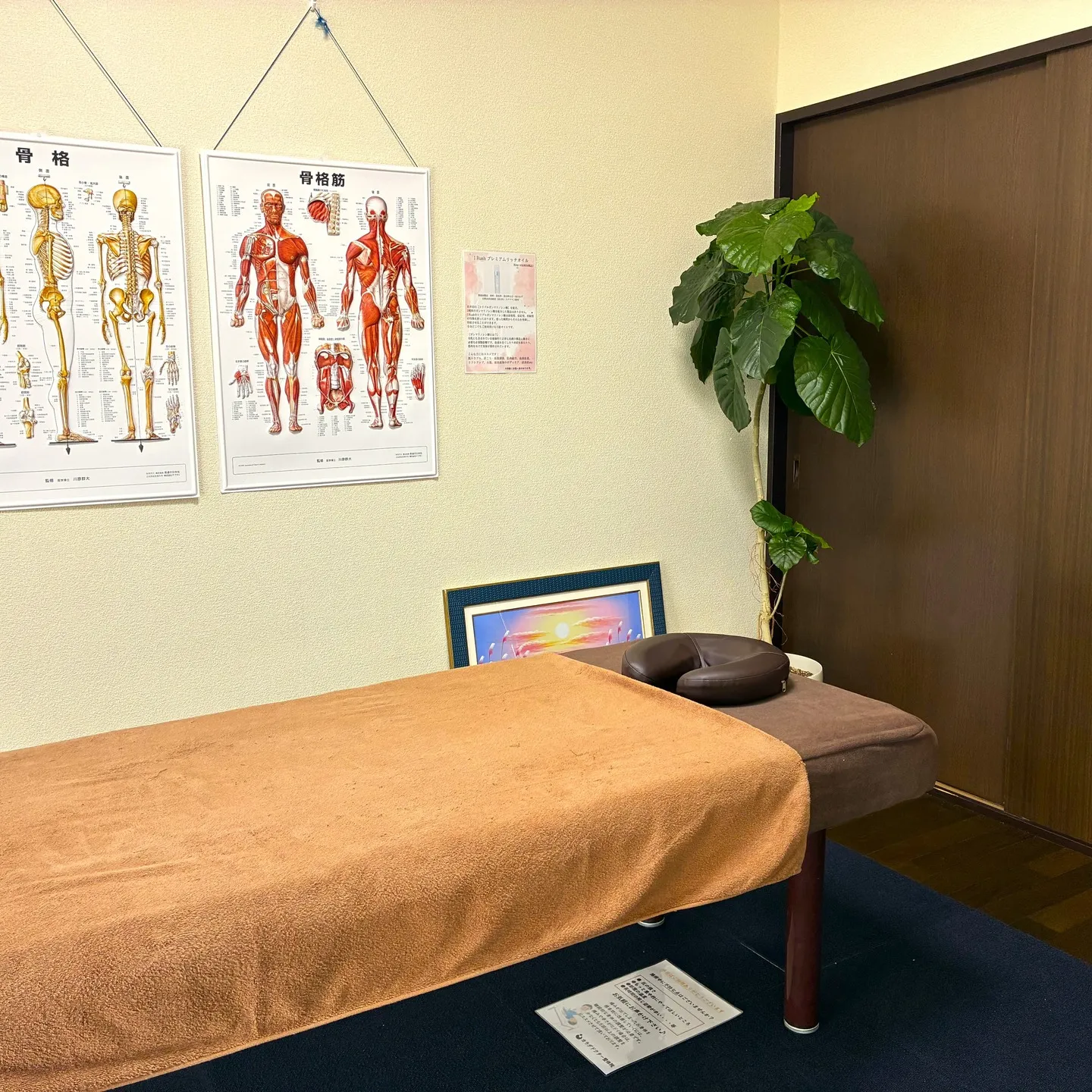 ［5月4日～5月10日のご予約状況について］ 