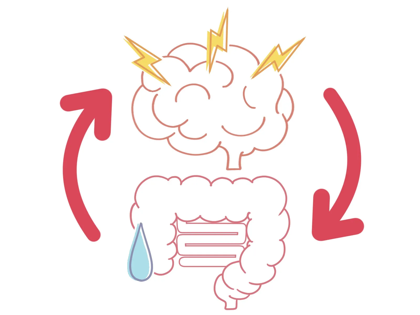 梅雨に腸の調子が乱れる理由|気圧変動・湿度・骨格の歪みが腸脳相関を崩す仕組みと加須市の整体院の腸活戦略